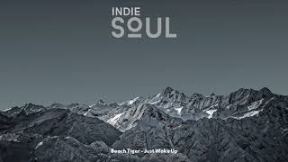 Indie Pop/Folk/Rock/Alt Compilation vol.11 | April 2021 | INDIE SOUL