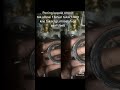 Leaking oil seal timing belt