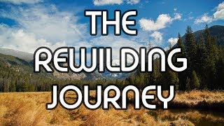 Starting The Rewilding Journey