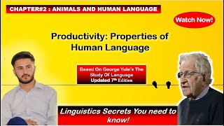 Human Language: The Magic of Productivity Explained