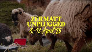 Zermatt Unplugged campaign 2025 - blacknose sheep