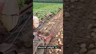 யாருக்கு💯 விவசாயம் பிடிக்கும் கமெண்ட் 🥺பண்ணுங்க #agriculture #farming #vivasaya #vivasaayi #shots