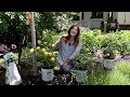 Planting Some Roses in my Garden! 🌿// Garden Answer