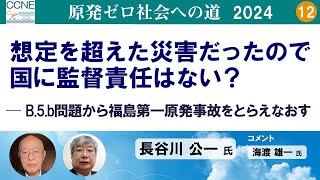 第12回「想定を超えた災害だったので国に監督責任はない？─ B.5.b問題から福島第一原発事故をとらえなおす」／「原発ゼロ社会への道」【2024/12/17】