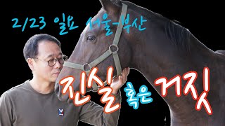 김호경마 2월 23일 일요일 서울-부산 경마방송!