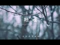 房東的貓《 短嘆 》ft.梁曉雪 lyric video