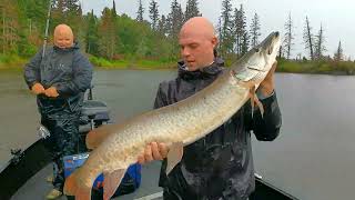 ABO | LOTW Day #4 Nick Crushes another Musky!!!