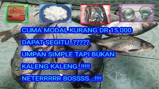 Rahasia Umpan Jitu Ikan Mas,, di jamin NETER..!!!