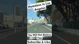 Homeless in Los Angeles unbelievable #homeless #houseless #losangeles #california