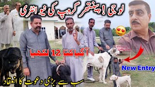 Loo Jee 😍 Panther Group New Entry 🥰 A Gaya Kutta 12 Lakhiya || Biggest Party