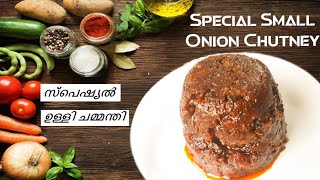 സ്പെഷ്യൽ ഉള്ളി ചമ്മന്തി | Special Small Onion Chutney | #ullichamanthi #ulli #chutney