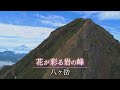 NHK にっぽん百名山 「高山植物を愛でまくる夏」