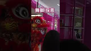 中國農曆新年傳統 商舖開市習俗 舞獅 採青    Chinese Lunar New Year Lion Dance #新城市廣場