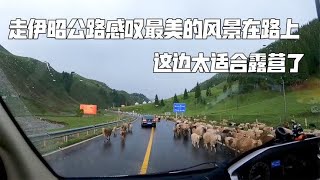 房车走伊昭公路，感叹最美的风景在路上，这边太适合露营了