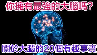 你擁有最強的大腦嗎? 「關於大腦的20個有趣事實」