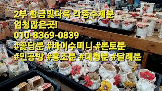 2부황금빛다육 각종수제분 엄청많은곳!010-8369-0839 #꽃담분 #바이수미니 #본토분 #민공방 #홍조분 #대형분 #달래분