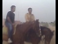 horse riding in dream world.......mp4