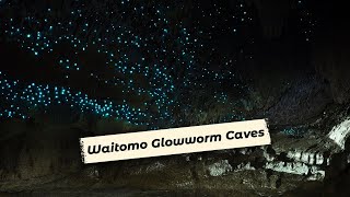 Waitomo Glowworm Caves | Facts \u0026 Information