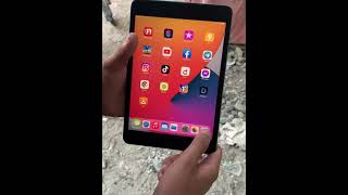 apple ipad mini 5