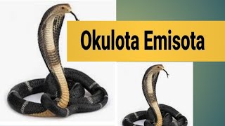 OKULOTA EMISOTA