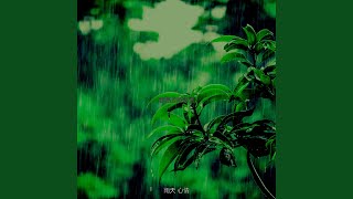 精彩雨环境