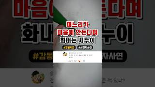 임신한 며느리가 마음에 안든다며 시댁 뒤엎은 시누이