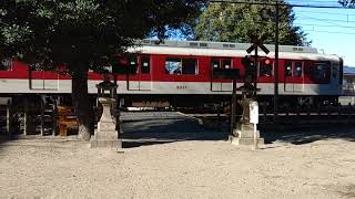 神社の中を通る電車　近鉄道明寺駅～土師ノ里駅