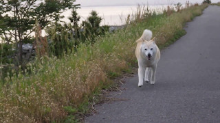 黄砂が舞ってるから、帰りましょうョ！！