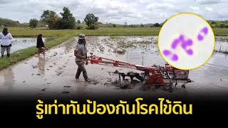 รู้เท่าทันป้องกันโรคไข้ดินหลังมีแนวโน้มระบาดเพิ่ม