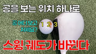 골프공 쳐야하는데 어디를 봐야하나?