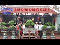 CHOÁNG NGỢP trước không gian vườn cây RẤT ĐẸP & NHÀ CỔ đẹp TUYỆT MĨ của chú THIỀU TP Từ Sơn - BN.