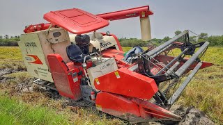 LOVOL HARVESTER PADDY HARVESTING PART-4 # kpm tractors