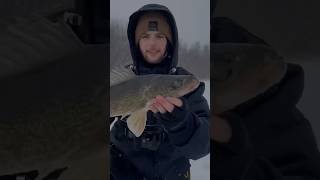 I Hope I see you again 🥲 #nature #fishing #peche #outdoors #icefishing #walleye #mbqc #quebec