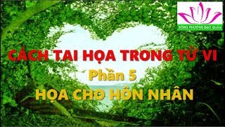 CÁCH HỌA TRONG TỬ VI - Phần 5 : HỌA CHO HÔN NHÂN