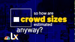 The Science Behind Crowd Size Estimates Is Complicated by Politics and Privacy | NBCLX