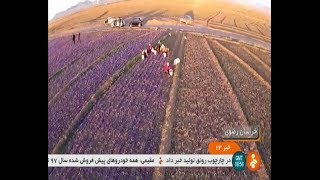 Iran Sanu village, Gonabad county, Saffron Kariz water source زعفران آب كاريز روستاي سنو گناباد