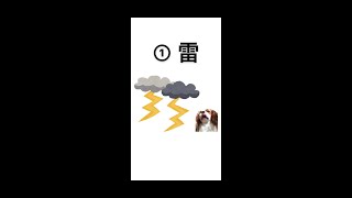 【犬が反応する音(日常ver②) 】#Shorts  犬が首をかしげる音 犬が喜ぶ音