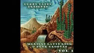 VA - Fuzzy Daddy Presents : 60s - 70s Mexican Soul Latin Rock & Funk Grooves Vol