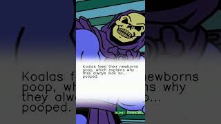 SKELETOR FACT'S 278 - Until we meet Again #shorts #skeletor #memes