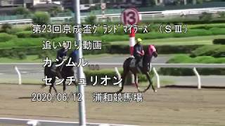 第23回京成盃ｸﾞﾗﾝﾄﾞﾏｲﾗｰｽﾞ（ＳⅢ）追い切り動画　カンムル、センチュリオン、アンサンブルライフ　2020/06/12　浦和競馬場