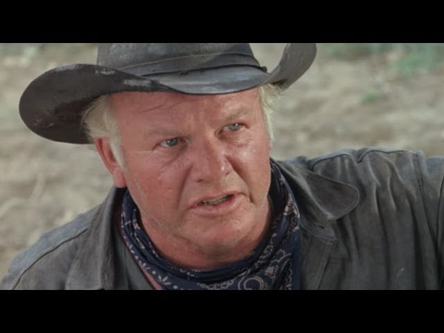 Alan Hale Jr Skipper Alan Hale Jr The Skipper And Before