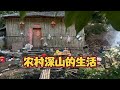 孩子们，我们一起去野餐吧