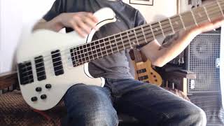 Review bajo Cort T35 Groover Instrumentos