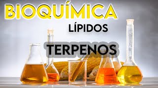 37- TERPENOS ¿QUÉ SON? || BIOQUÍMICA