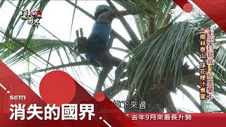 身懷驚人武功!\