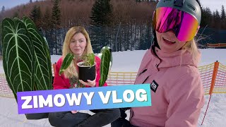 Zimowy vlog: uczę się jeździć na nartach, wysiew zimowy i ratowanie rośliny