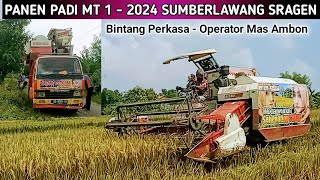 Panen Padi MT 1 - 2024 Sumberlawang Sragen Jawa Tengah