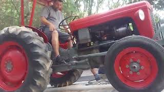 1962 massey ferguson 35 diesel!!! (got it July 14th 2022)