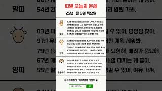 띠별 오늘의 운세 2025년 1월 9일 목요일