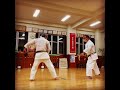 棒対鎌研究 bo vs kama practice 信武舘 古武道 karate shimbukan okinawa kobudo 沖縄 空手